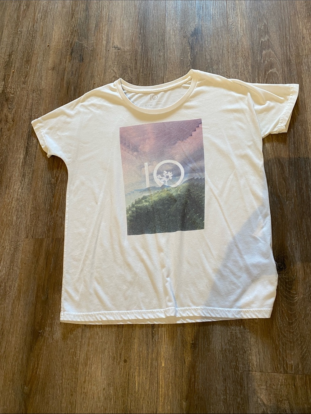 tentree White Tee with Pastel Landscape Print